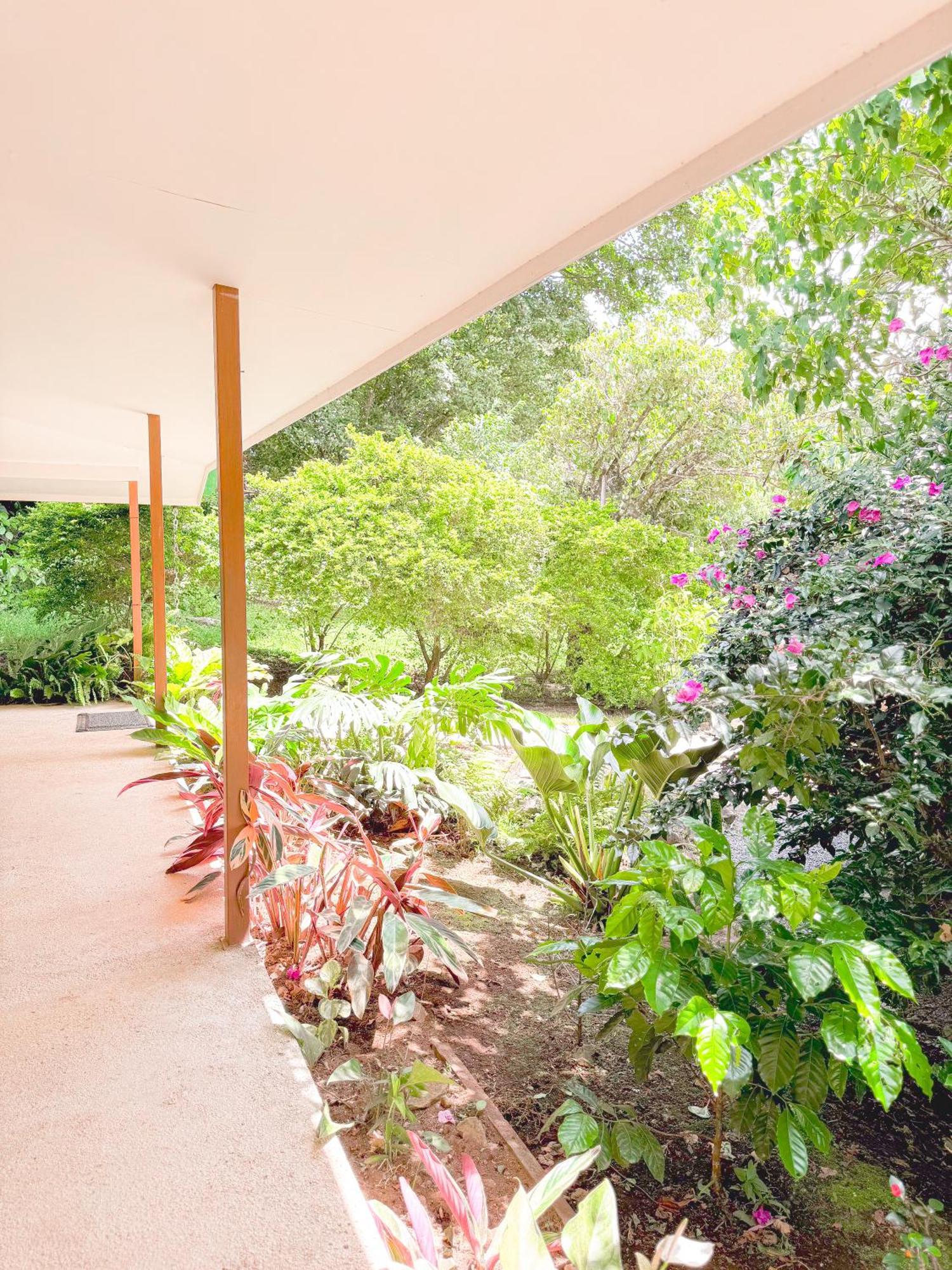 Casa Rayo De Luna Monteverde Exterior photo